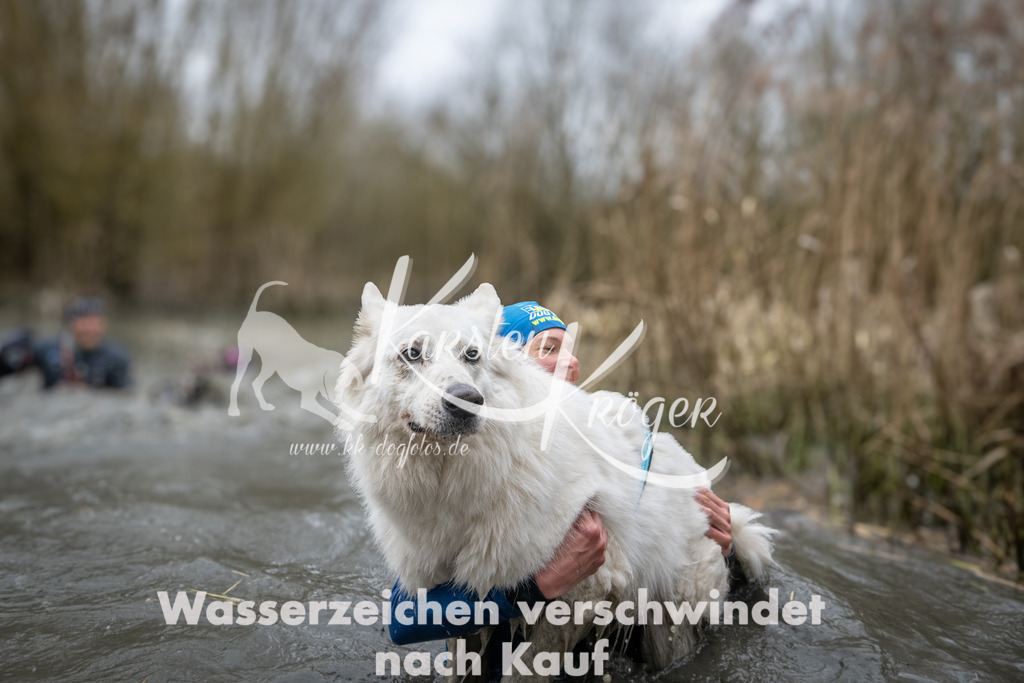 1054_ZZ93720 | kk-dogfotos
