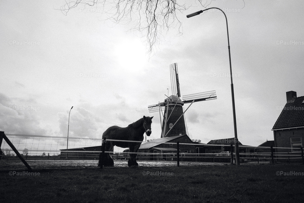 20220210_0011_PaulHense_DSC00264 | paulhense - Realisiert mit Pictrs.com