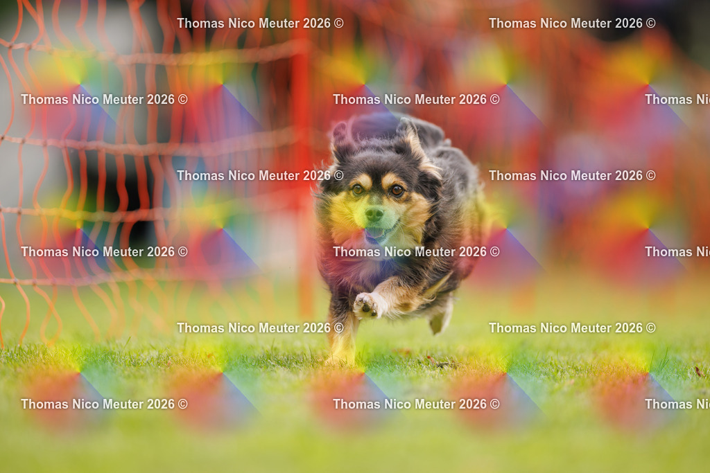 Thomas_Nico_Meuter(C)_26. September 2026_223A0071 | Bild von Thomas Nico Meuter - Realisiert mit Pictrs.com