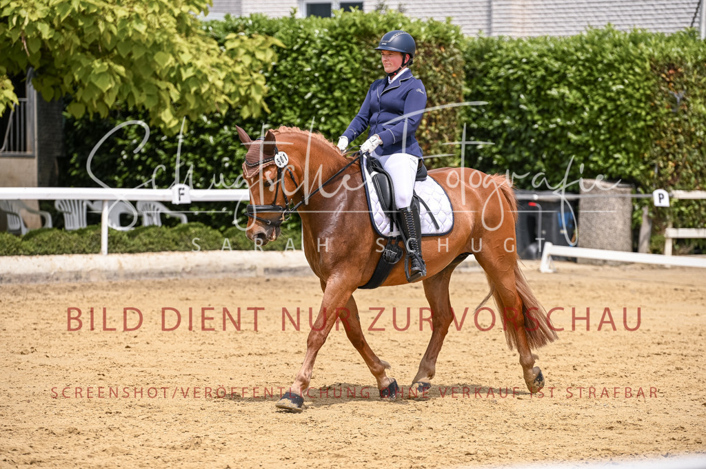 Schugtsche-Aluta25-55.Dressurreiterprf.L1Tr-98 | Schugtsche Fotografie - Realisiert mit Pictrs.com