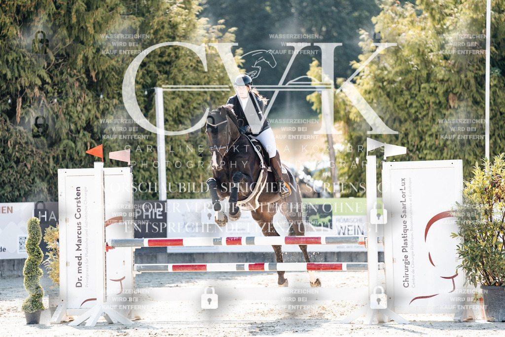 CK908101 | Turnierfotografie Pferdefotografie Trier Rheinland-Pfalz Pferdesport Reitsport Tierfotografie Sportfotografie Pferdevideo Pferdevideografie Equestrianvideography equestrianphotography  - Realisiert mit Pictrs.com