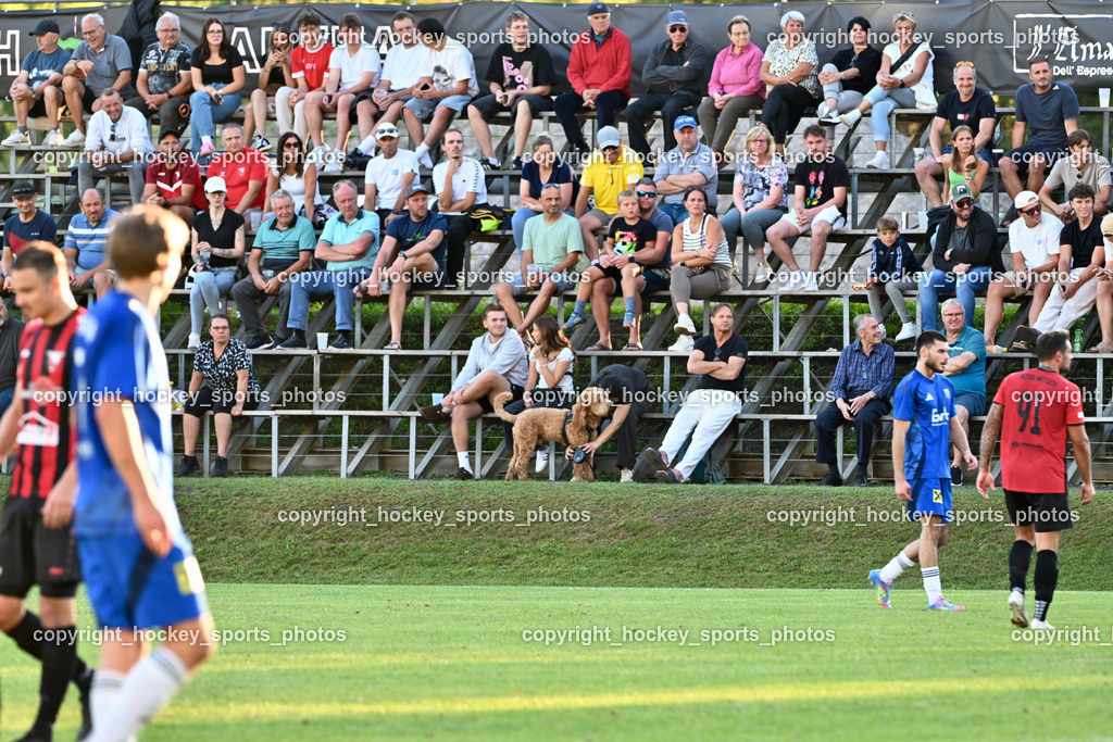 ATUS Nötsch vs. Thal Assling | Besucher Dobratsch Arena, ATUS Nötsch vs. Thal Assling, ATUS Nötsch vs. Thal Assling am 31.08.2025 in Nötsch (Dobratsch Arena), Austria, (Photo by Bernd Stefan)