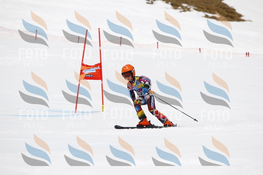 _U3G7513 | holidayphoto