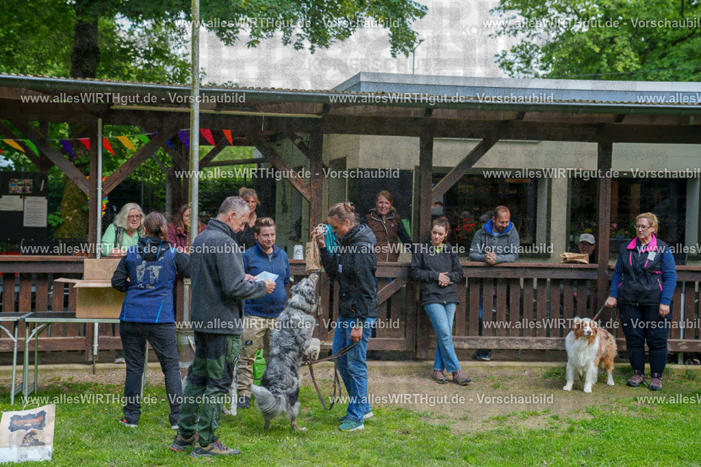 @allesWIRTHgut_Tierfotografie - www.allesWIRTHgut.de - 7R502328 | Professionelle Tierfotografie in Mönchengladbach von Daniel Wirth (allesWIRTHgut). Liebevolle & natürliche Bilder von Hunden & Katzen für unvergessliche Erinnerungen.