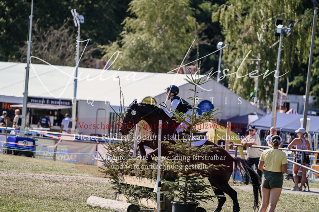 DSC_2805 | Pferde- und Turnierfotografie in Westsachsen. Pferdeportraits, Auftragszeichnungen und intuitive Kunst.