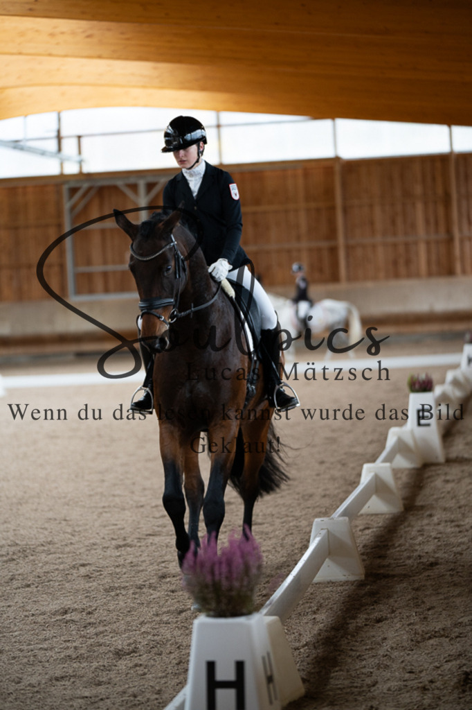 A7V02444 | Pferdefotograf