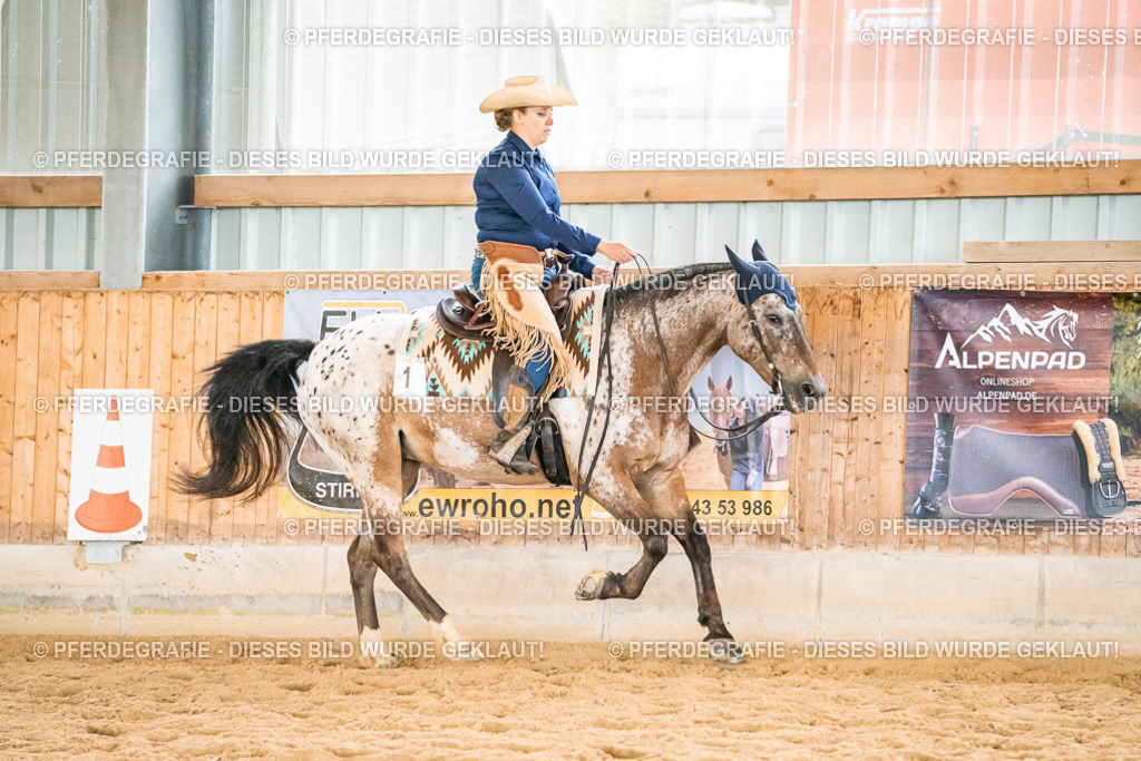 DSC01049 | Pferdegrafie