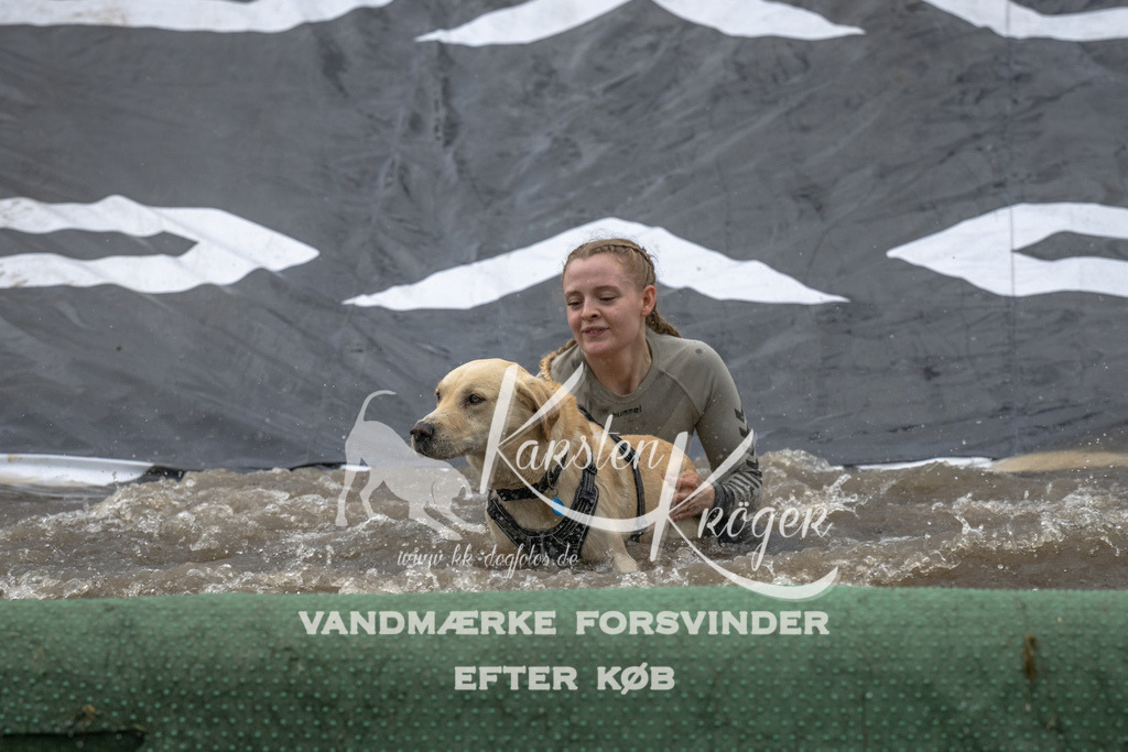 1433_ZZ90744 | kk-dogfotos