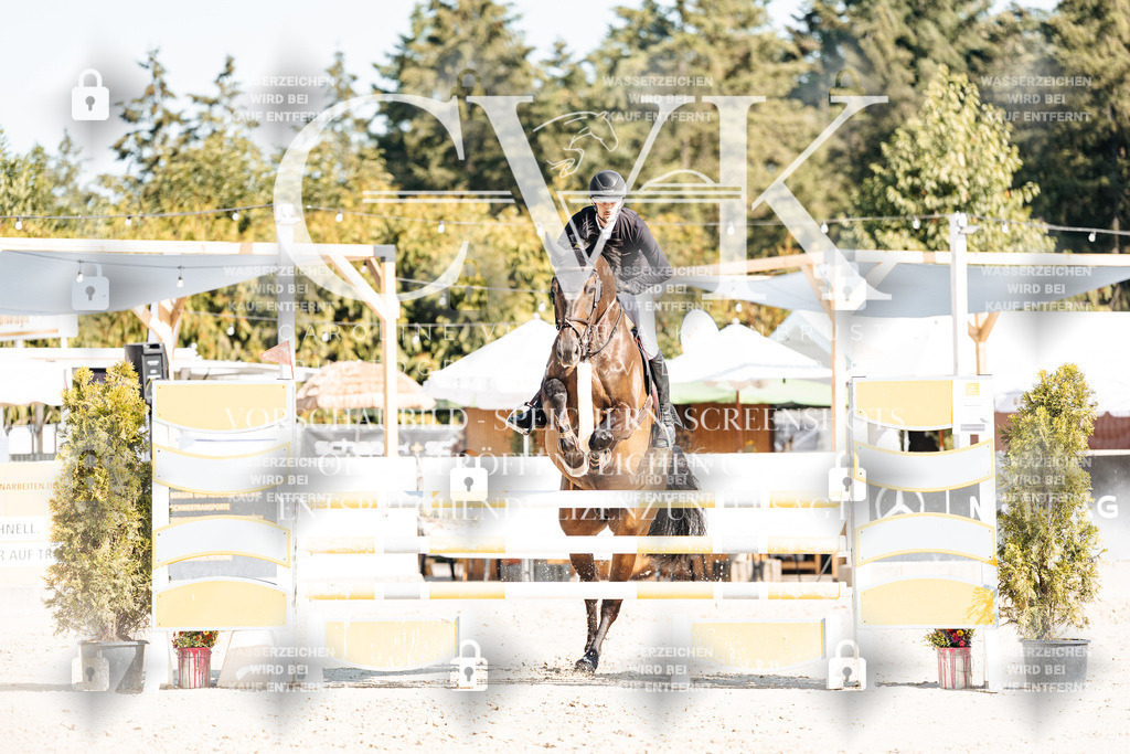 CK902297 | Turnierfotografie Pferdefotografie Trier Rheinland-Pfalz Pferdesport Reitsport Tierfotografie Sportfotografie Pferdevideo Pferdevideografie Equestrianvideography equestrianphotography  - Realisiert mit Pictrs.com