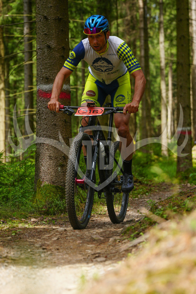 FC603649 | Fotogalerie der Treibjagd im Dunkelwald - Dein MTB Etappenrennen im Erzgebirge - Realisiert mit Pictrs.com