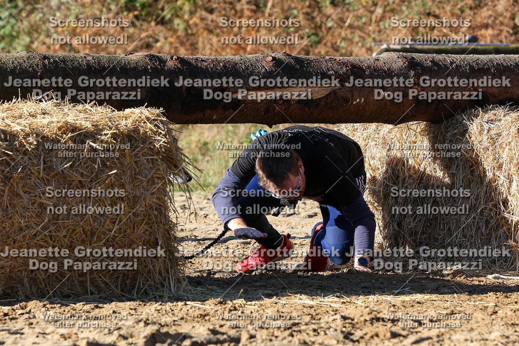 Dog Paparazzi - Strongdog 10-25-1968 | Dog Paparazzi Jeanette Grottendiek Fotografie & Videografie - Realisiert mit Pictrs.com