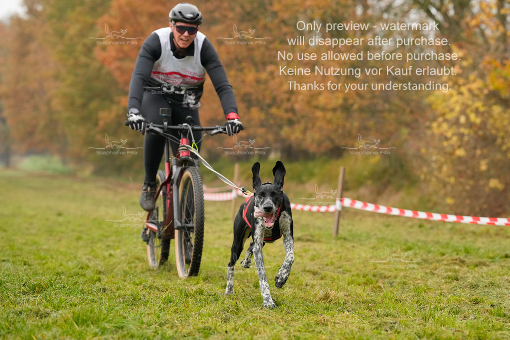 Visbeck_Sa_Bike-80 | stephaniefillaphotographie - Realisiert mit Pictrs.com