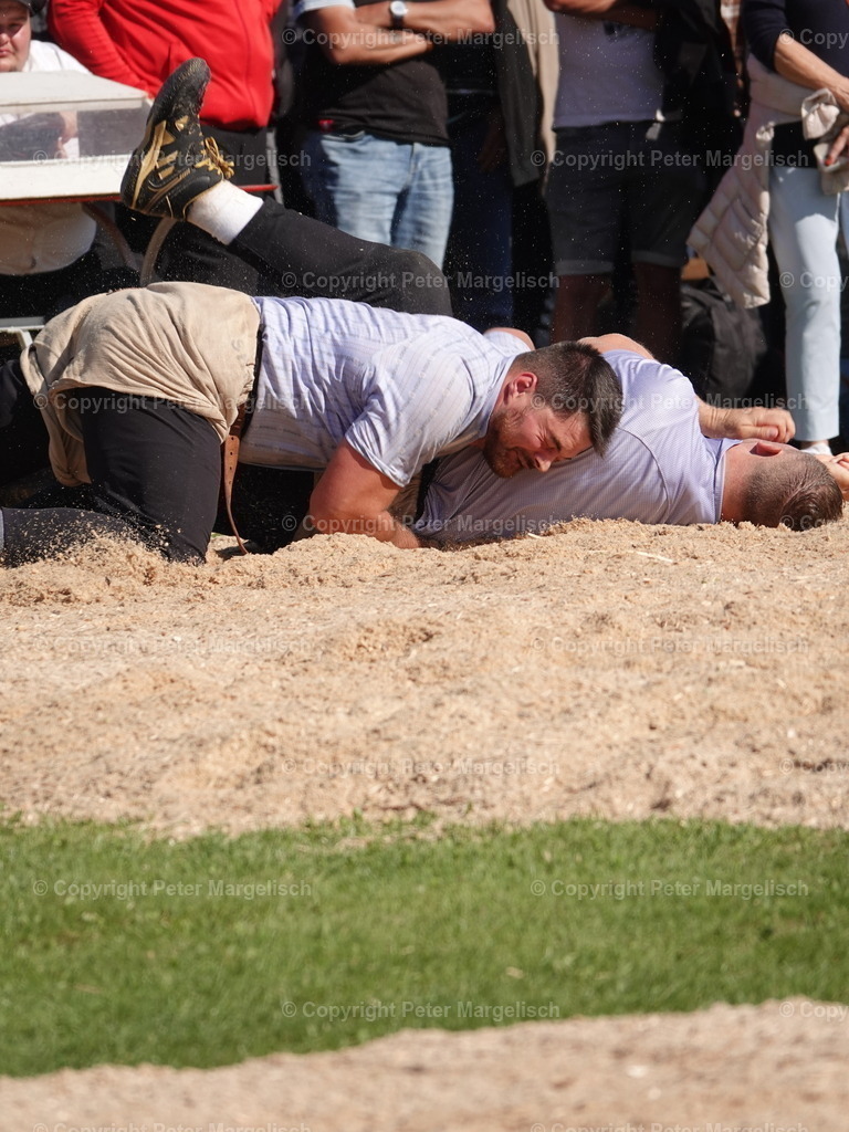 DSC05597 | Schwingen - Realisiert mit Pictrs.com