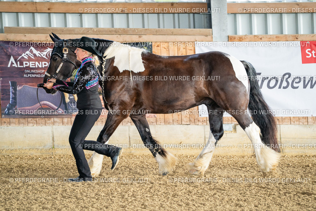 DSC07510 | Pferdegrafie