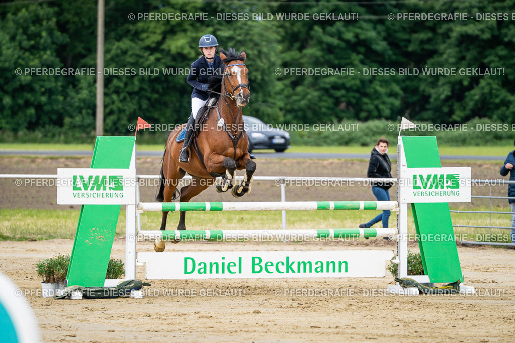 DSC03882 | Pferdegrafie