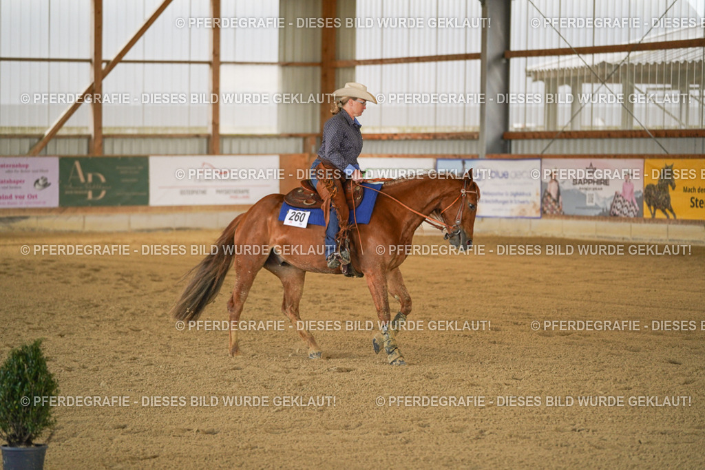 DSC07251 | Pferdegrafie