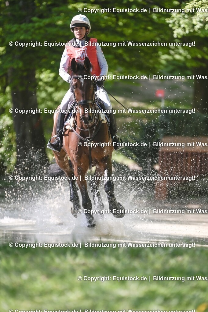 20250517_CCI2_Gelände_0824 | Foto: Thomas Hartig