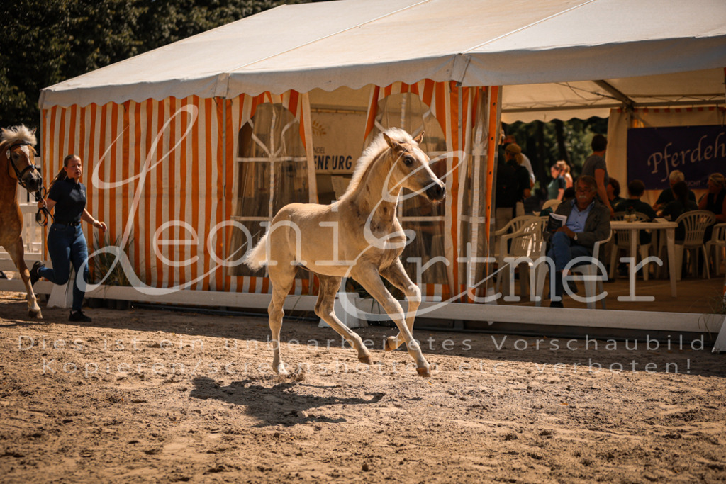 06.DoH00092 | Leoni Ertmer Photography - Realisiert mit Pictrs.com