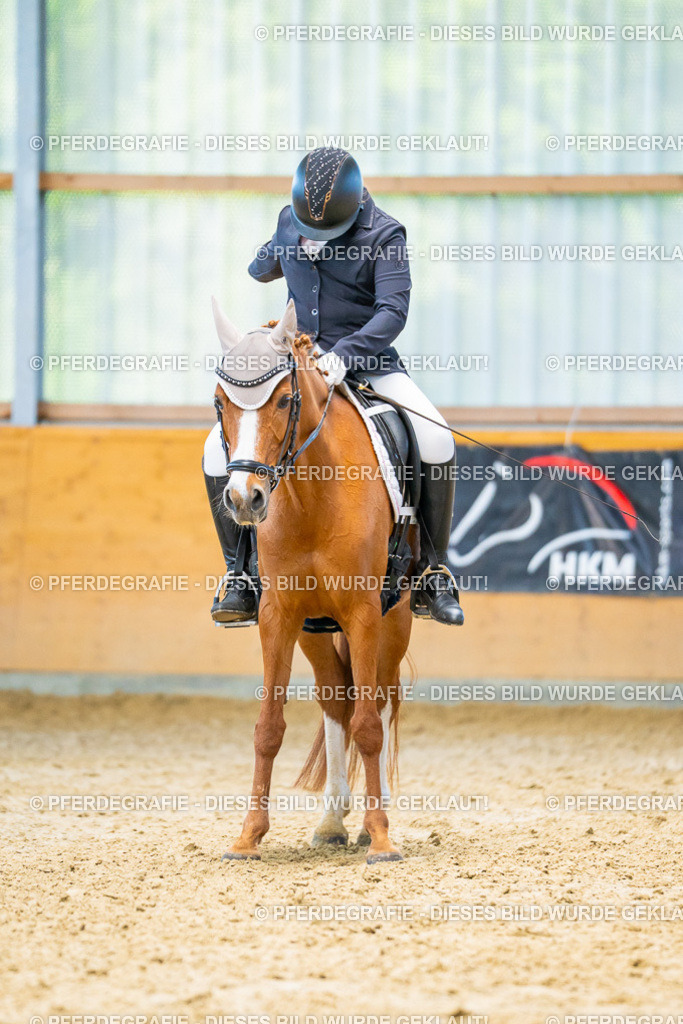 DSC07781 | Pferdegrafie