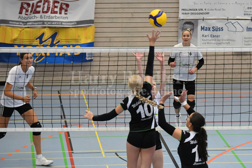 TSV Deggendorf Damen : Wilde Wespen Steinach | TSV Deggendorf Damen : Wilde Wespen Steinach - Realisiert mit Pictrs.com