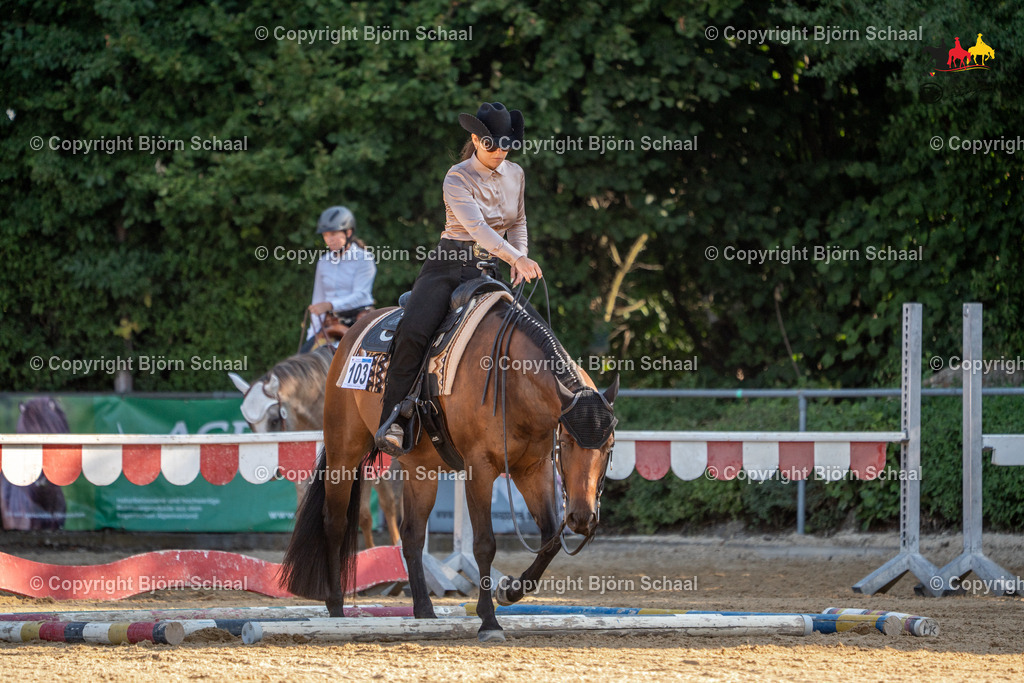LMS04810 | BS-foto
