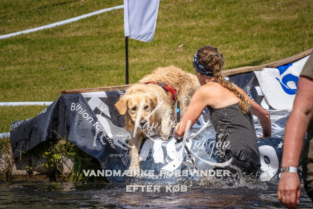 _ZZ951431006 | kk-dogfotos