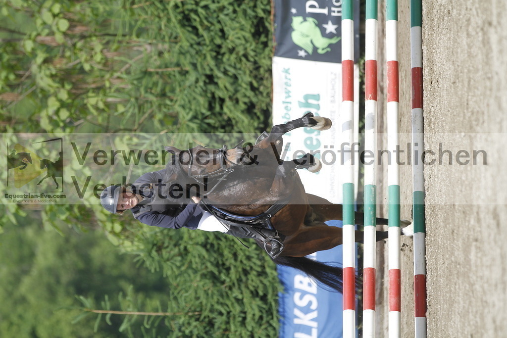 _MG_4618 | equestrian-live-com