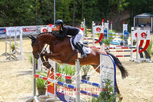 DKP40451 | Turniersportfotografie; Pferdefotografie; Dressurfotografie