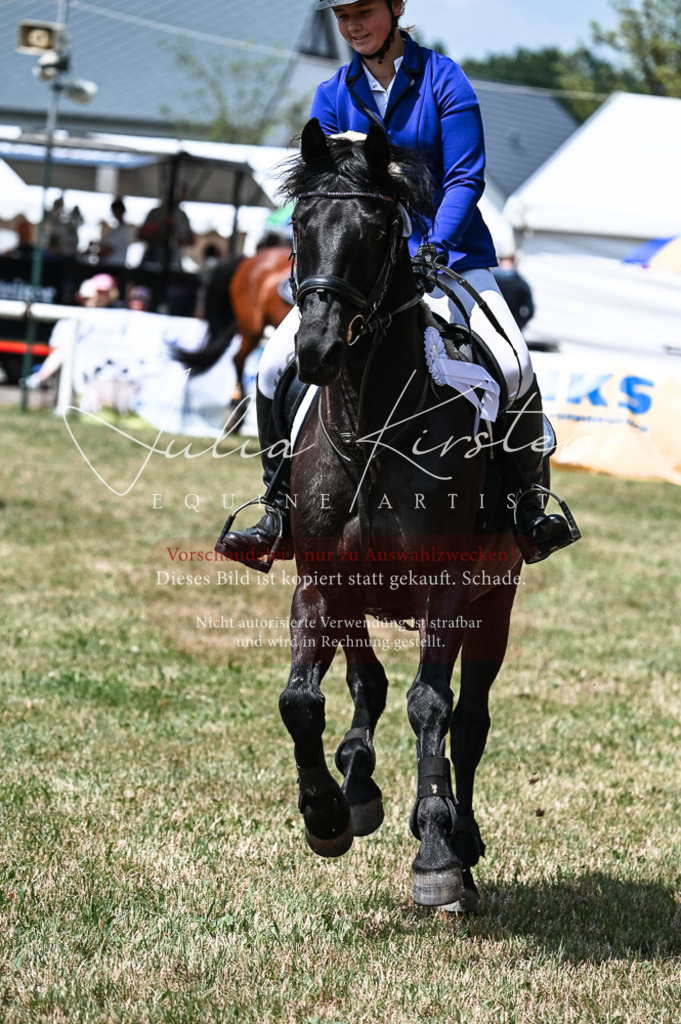 DSC_9506 | Pferde- und Turnierfotografie in Westsachsen. Pferdeportraits, Auftragszeichnungen und intuitive Kunst.