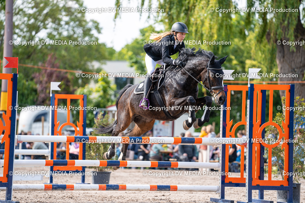 Eppelheim Tag 2-635 | dv-media-shop - Realisiert mit Pictrs.com