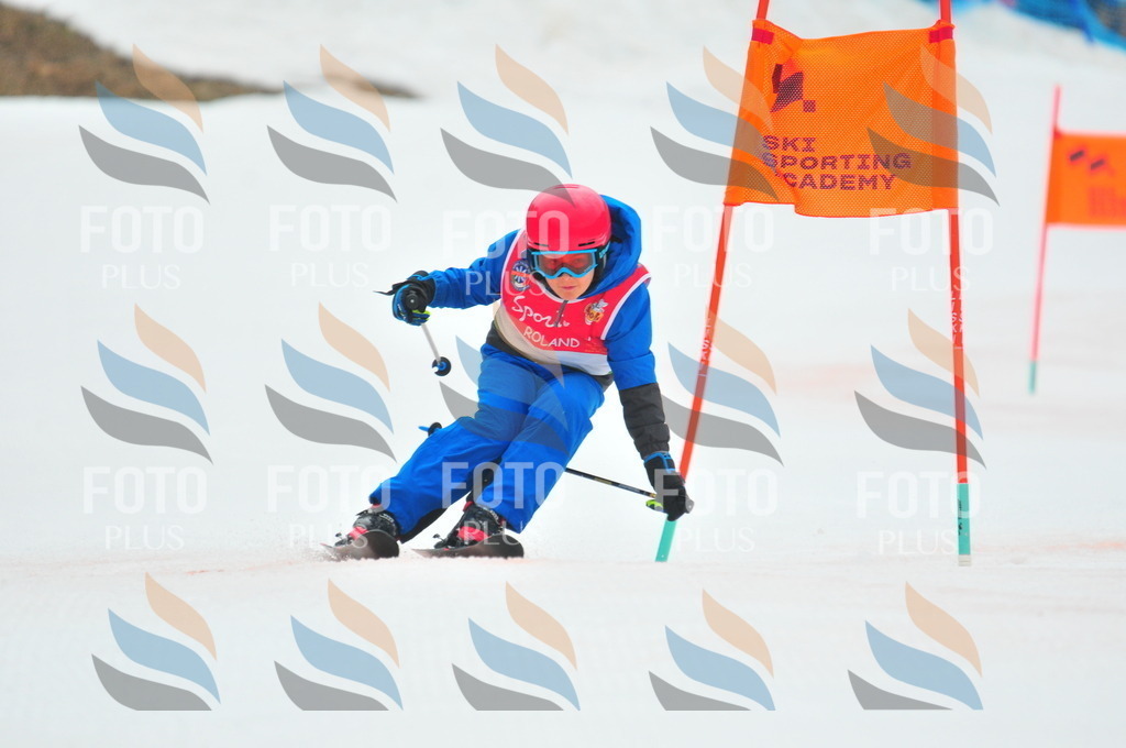 C0338 | holidayphoto