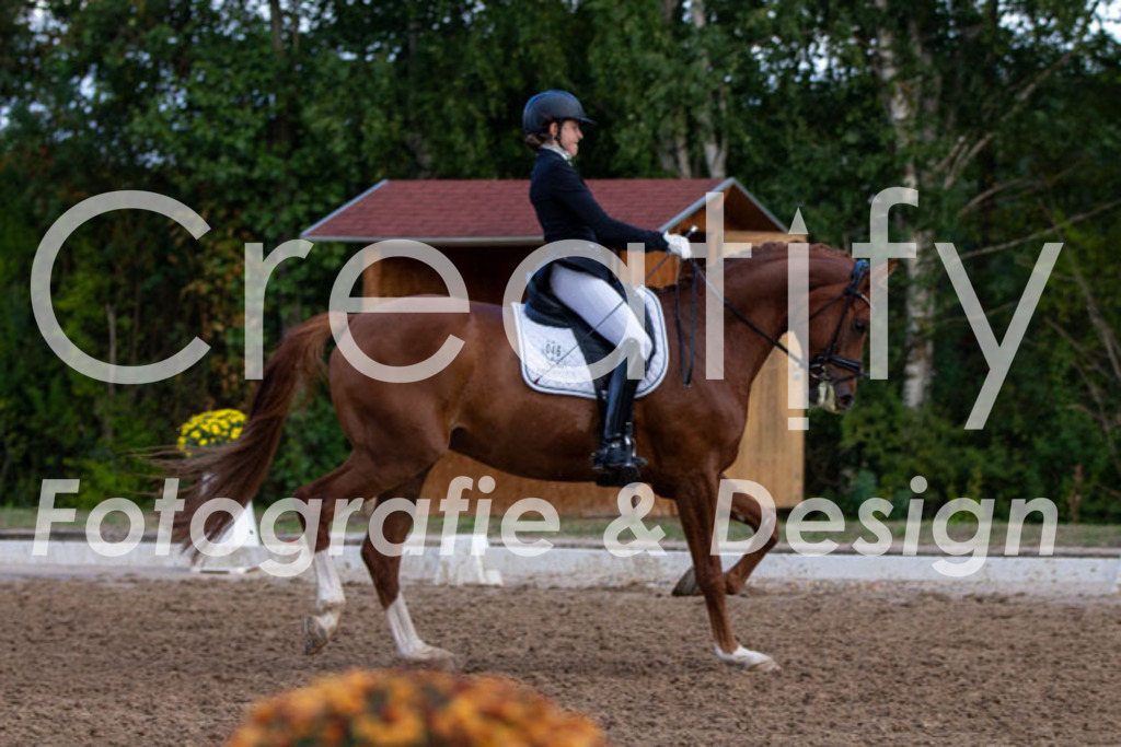 IMG_4176 | Creatify Fotografie