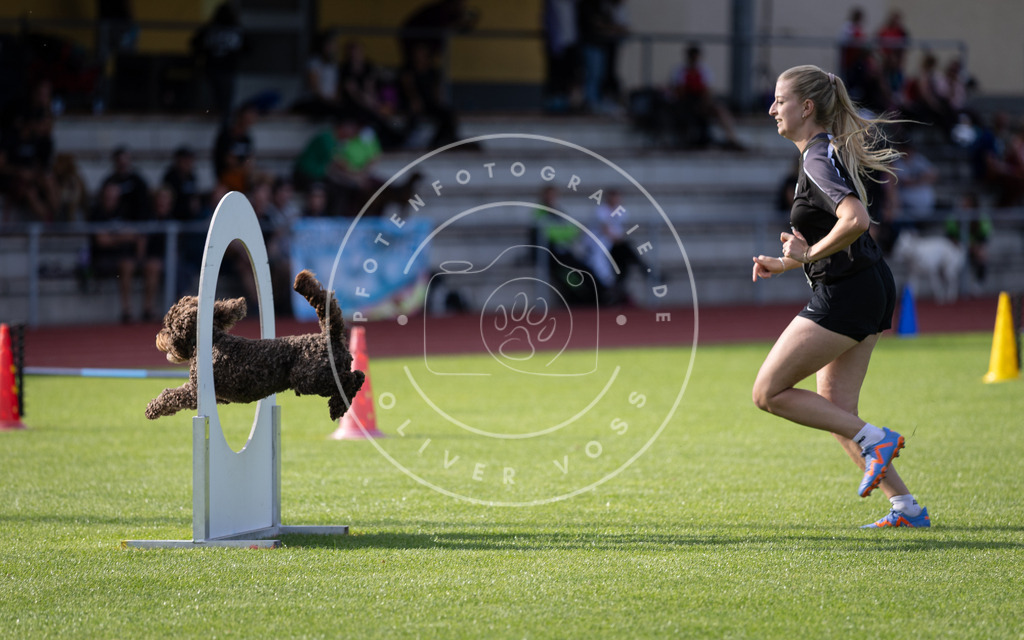 Pfotenfotografie_DV3A3081 | Hundefotografie, Tierfotograf, Pfotenfotografie, Fotoshooting Hund, Hunde Portrait, Hundesport, Hundeportraits, Heideshooting, Hunde, Sportfotograf, Hundefotograf, Turnierhundsport, THS,  - Realisiert mit Pictrs.com