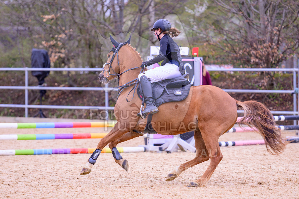 12042026-Mammendorf-Prfg40-0092 | Fokus Hufschlag Fotografie - Realisiert mit Pictrs.com