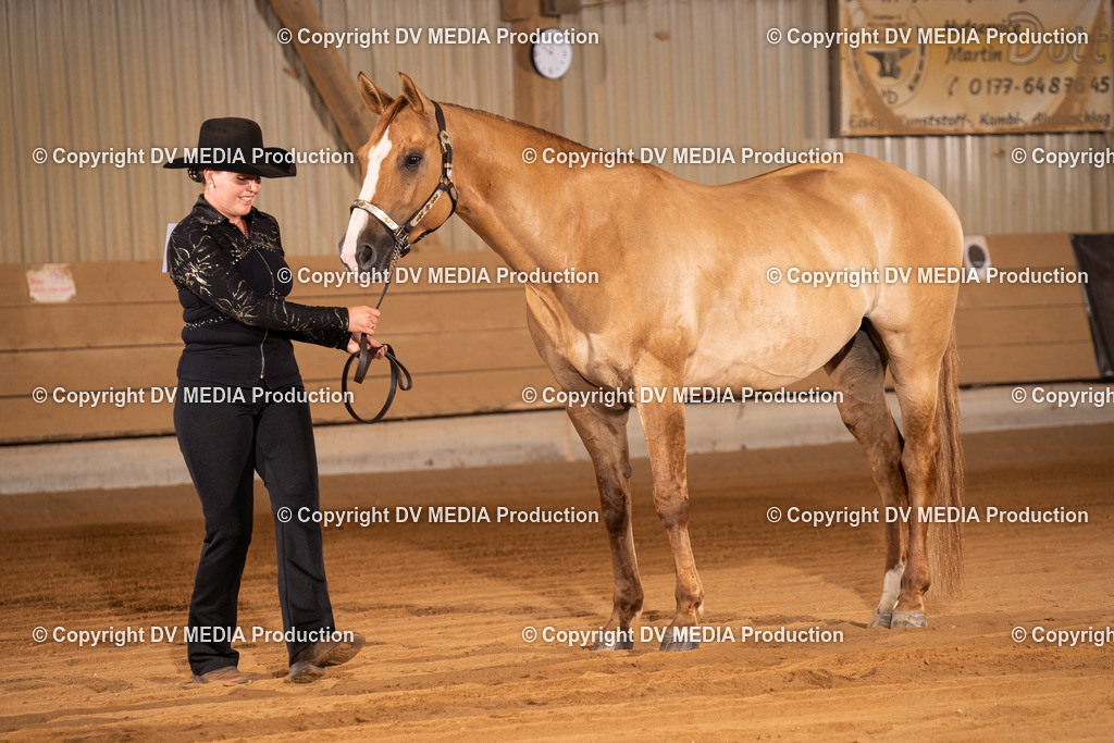 NID00010 | dv-media-shop - Realisiert mit Pictrs.com