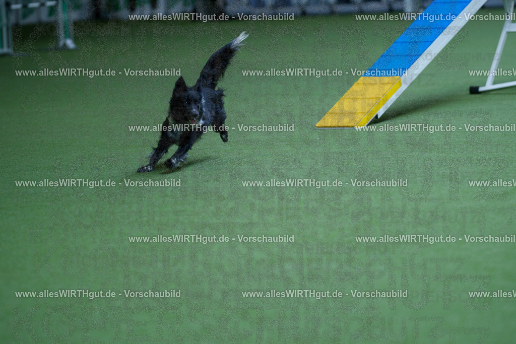 @allesWIRTHgut_Tierfotografie - www.allesWIRTHgut.de - 2604261143-7R500342 | Professionelle Tierfotografie in Mönchengladbach von Daniel Wirth (allesWIRTHgut). Liebevolle & natürliche Bilder von Hunden & Katzen für unvergessliche Erinnerungen.