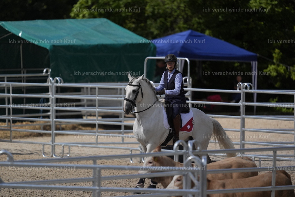PI26_COW_Stoibphotography_DSC5565.JPG | working equitationturnier fotograf videograf stoibphotography marixx film working equitation deutschland reitsport turnierfotografie eventfotografie equestrian events
