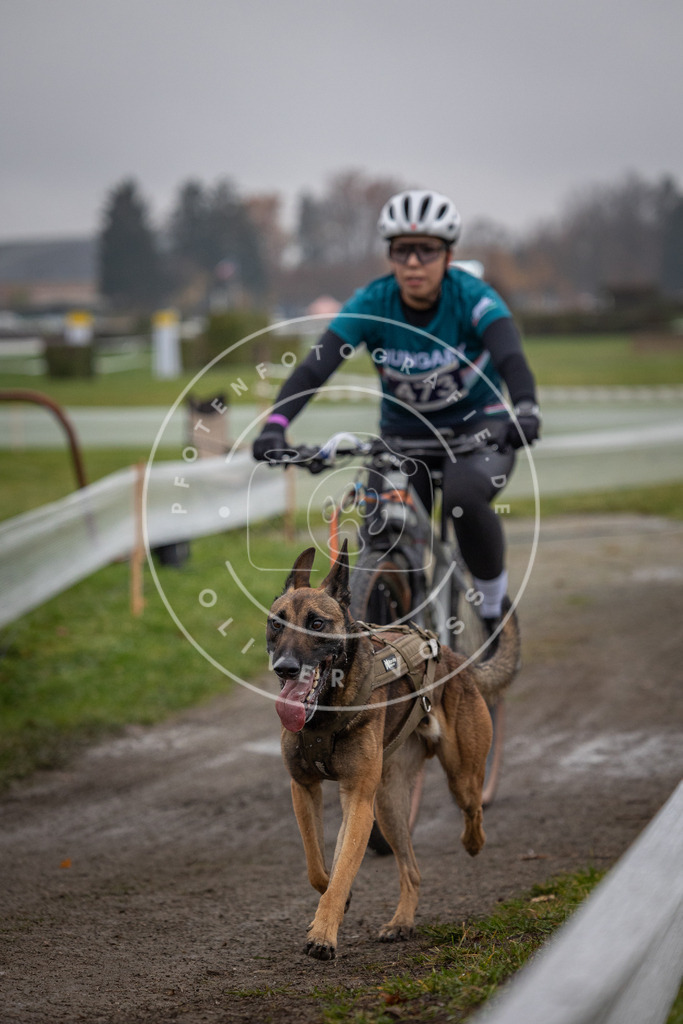 CaniXpix_0L8A1757 | Hundefotografie, Tierfotograf, Pfotenfotografie, Fotoshooting Hund, Hunde Portrait, Hundesport, Hundeportraits, Heideshooting, Hunde, Sportfotograf, Hundefotograf, Turnierhundsport, THS,  - Realisiert mit Pictrs.com