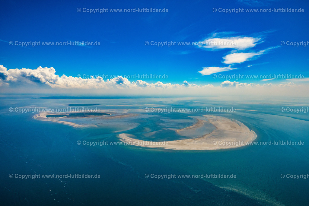 Scharhörn_Nigehörn_Aussenriff_ELS_7106250622 | NIGEHöRN 25.06.2022 Wattenmeer Sandbänke vor der Nordseeküste von Cuxhaven, Riff im Hamburger Wattenmeer vor Nigehörn und Scharhörn im Bundesland Hamburg, Deutschland. // Wadden Sea sandbanks off the North Sea coast of Cuxhaven, reef in the Hamburg Wadden Sea in front of Nigehoern and Scharhoern in the state Hamburg, Germany. Foto: Martin Elsen