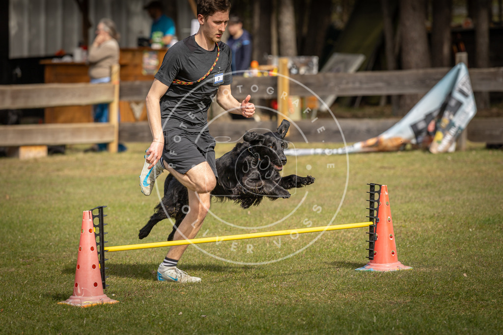 Pfotenfotografie_DV3A9321 | Hundefotografie, Tierfotograf, Pfotenfotografie, Fotoshooting Hund, Hunde Portrait, Hundesport, Hundeportraits, Heideshooting, Hunde, Sportfotograf, Hundefotograf, Turnierhundsport, THS,  - Realisiert mit Pictrs.com