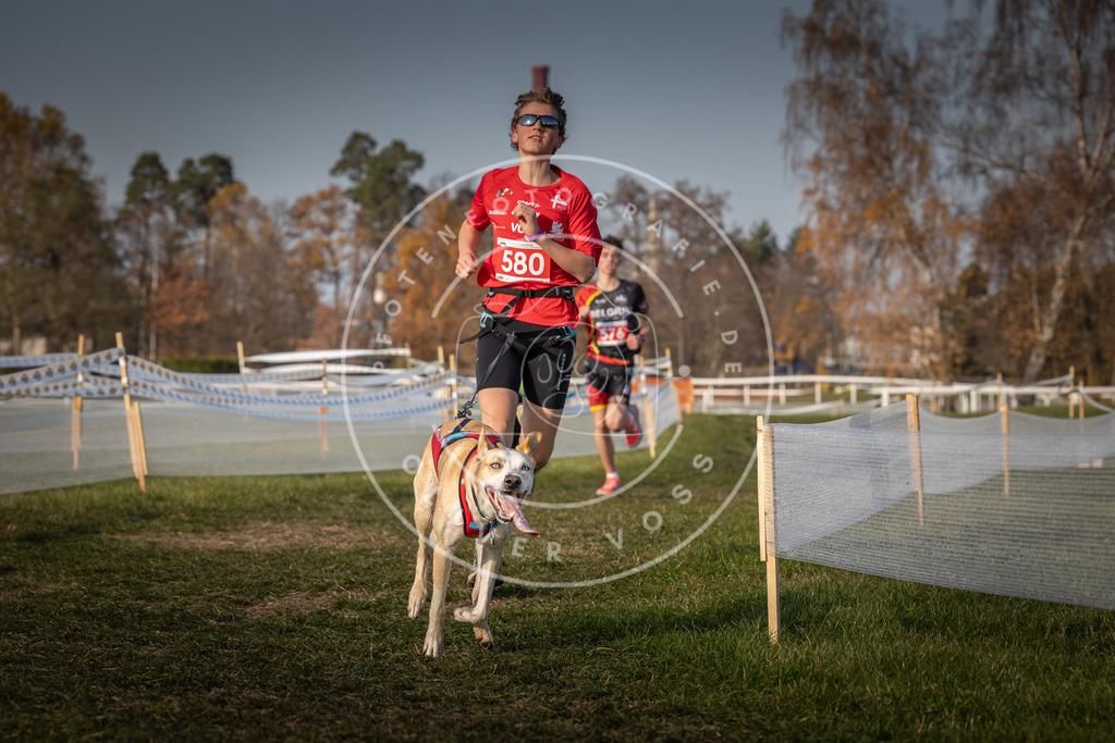 CaniXpix_0L8A9632 | Hundefotografie, Tierfotograf, Pfotenfotografie, Fotoshooting Hund, Hunde Portrait, Hundesport, Hundeportraits, Heideshooting, Hunde, Sportfotograf, Hundefotograf, Turnierhundsport, THS,  - Realisiert mit Pictrs.com