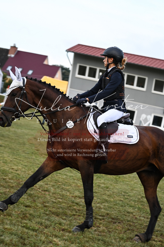 DSC_5654-2 | Pferde- und Turnierfotografie in Westsachsen. Pferdeportraits, Auftragszeichnungen und intuitive Kunst.