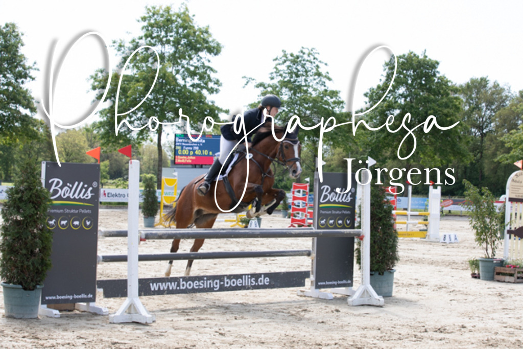 IMG_4040 | photographesa-joergens - Realisiert mit Pictrs.com