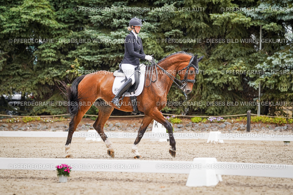 DSC04183 | Pferdegrafie