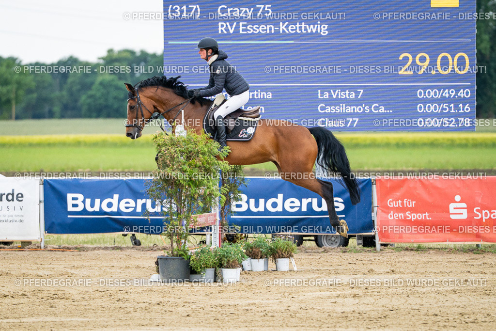 DSC05743 | Pferdegrafie