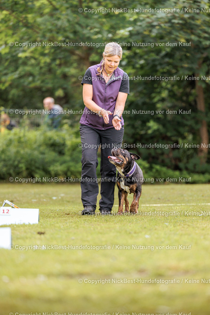 RO-Blumenthal-2026-Nickbest-Hundefotografie-1725 | Dein Hund! Dein Moment! Deine Erinnerungen! Hundefotografie in Bremen Blumenthal. Ich fange die besonderen Momente deines Vierbeiners ein – ob Indoor mit Blitzanlage oder in der freien Natur. Sicher dir dein Moment und dein Termin für eure Erinnerungen.