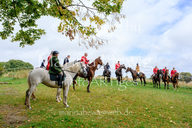 Jagd Kletkamp 26-9609_MarinaHewig | Fotografie, FotoArt, PferdesportArt, Pferdesportfotografie, Landschaftsfotografie, Reisefotografie, Reise, Pferde - Realisiert mit Pictrs.com
