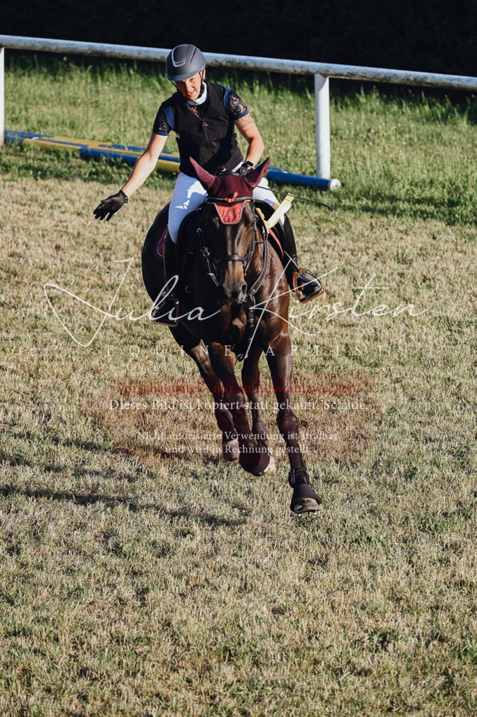 DSC_3299 | Pferde- und Turnierfotografie in Westsachsen. Pferdeportraits, Auftragszeichnungen und intuitive Kunst.