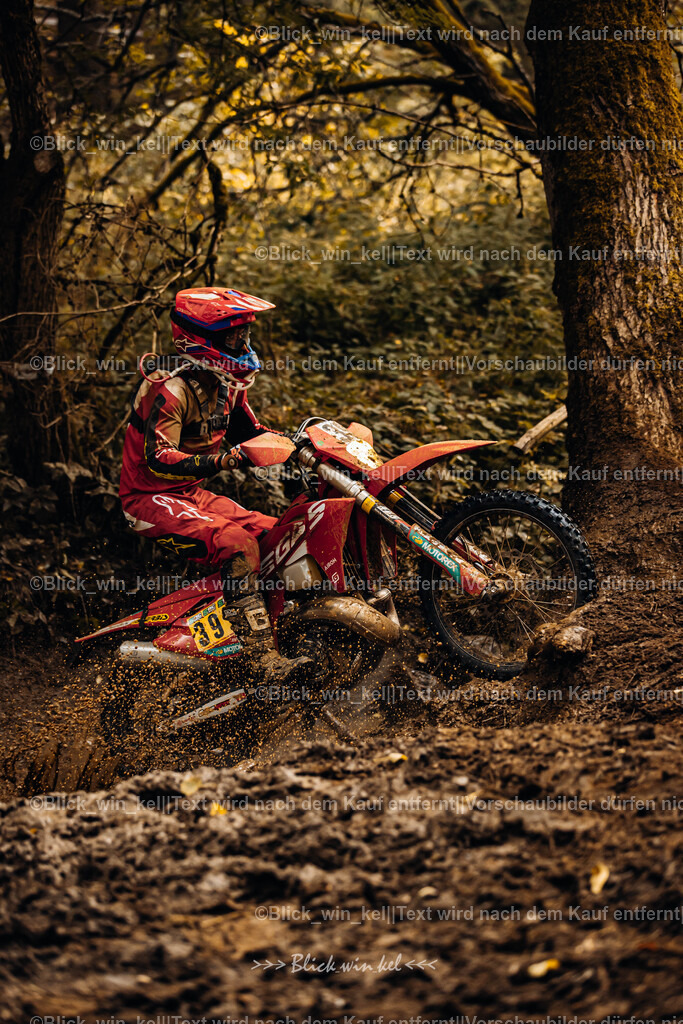 E68A6145 | blick_win_kel