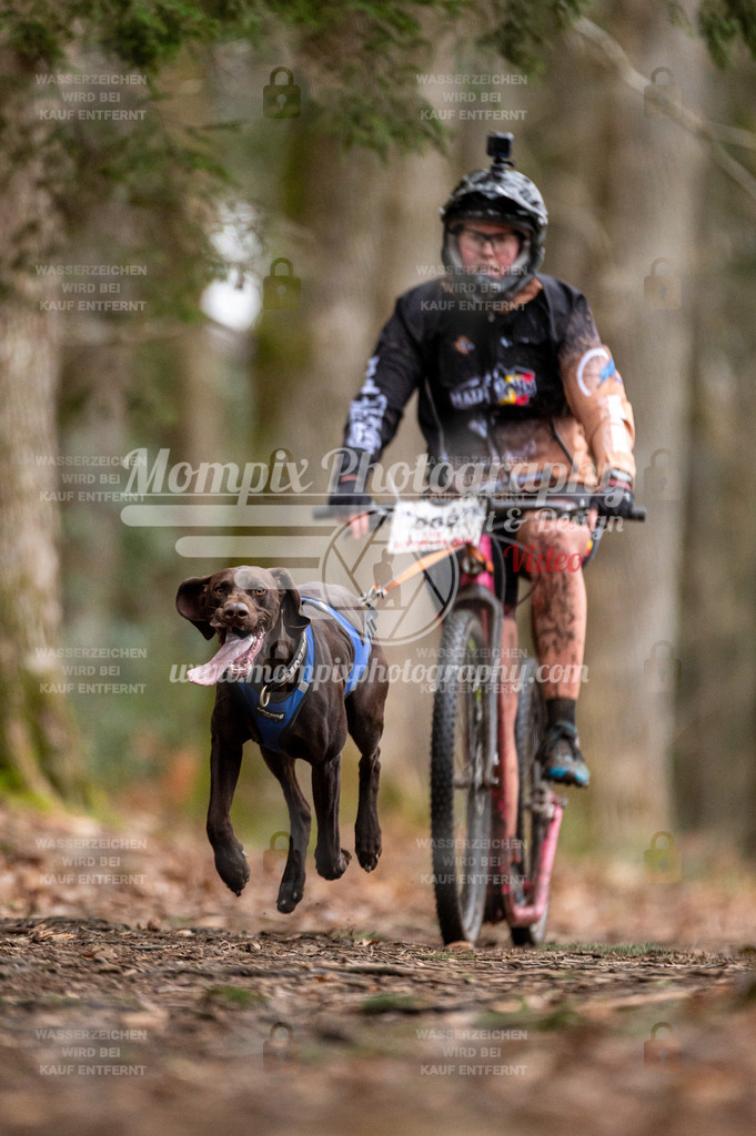 SPA_2023_DIM_Scooter-30 | PayLife